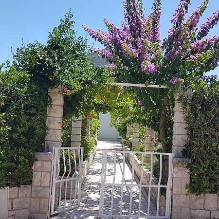 קורצולה Apartman Lucija מראה חיצוני תמונה