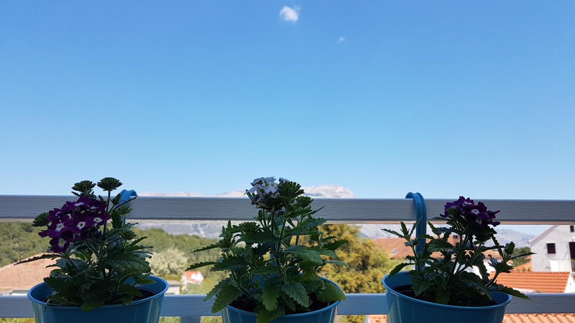 קורצולה Apartman Lucija מראה חיצוני תמונה
