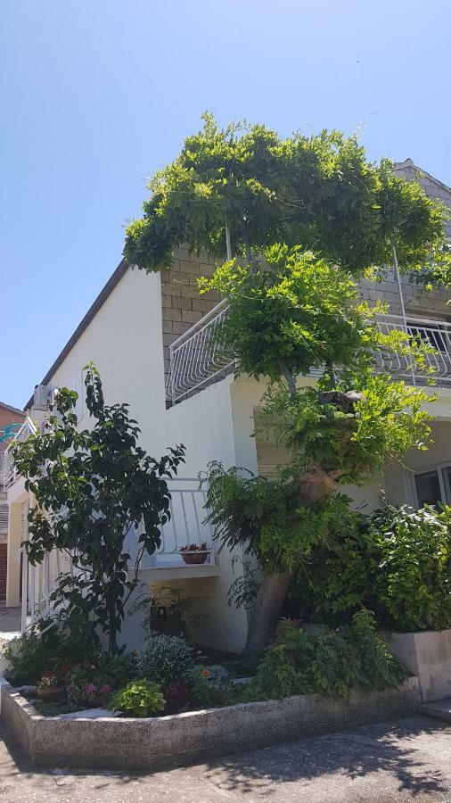 קורצולה Apartman Lucija מראה חיצוני תמונה