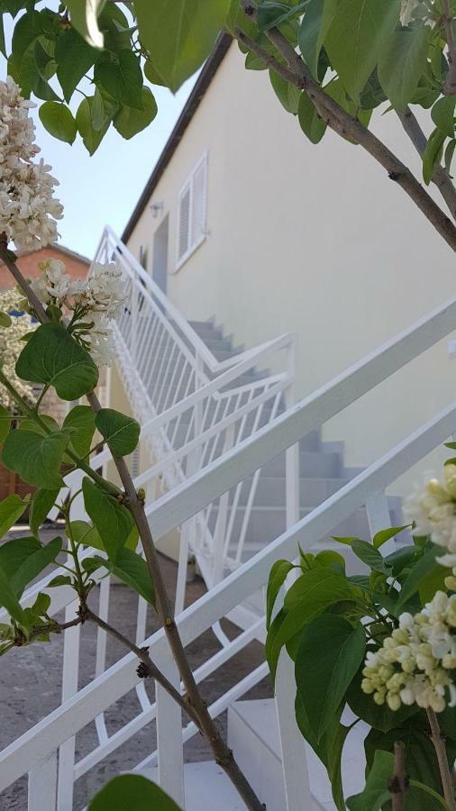 קורצולה Apartman Lucija מראה חיצוני תמונה