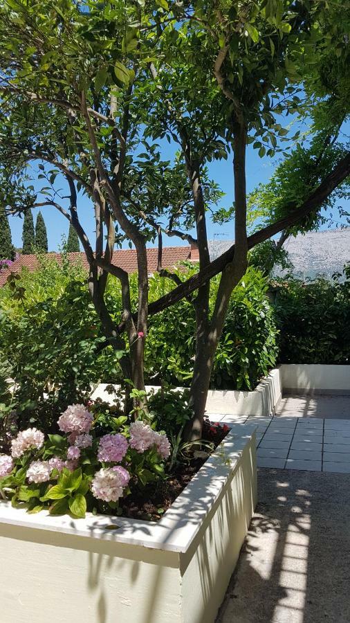 קורצולה Apartman Lucija מראה חיצוני תמונה