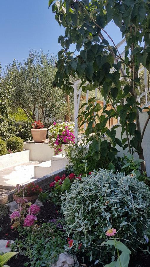 קורצולה Apartman Lucija מראה חיצוני תמונה